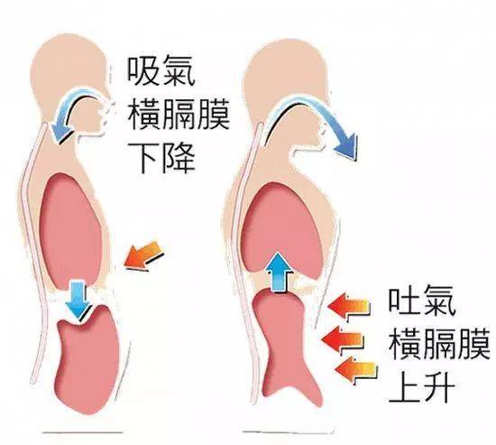 呼吸；呼吸??；肺氣腫；肺病；鍛煉
