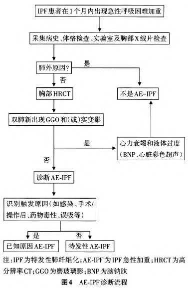 鐘南山-肺-肺康復-特發(fā)性肺纖維化-肺炎-間質性肺炎-間質性肺纖維化-IPF-AE-IPF-普通型間質性肺炎-UIP-磨玻璃密度影-GGO