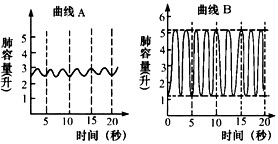 蘇炳添-9秒83-亞洲飛人-田徑-百米賽跑-奧運-2020奧運-東京奧運-呼吸肌-呼吸訓(xùn)練-腹式呼吸-呼吸頻率-吹氣球-呼吸訓(xùn)練器-呼吸峰流速儀-亞洲最快